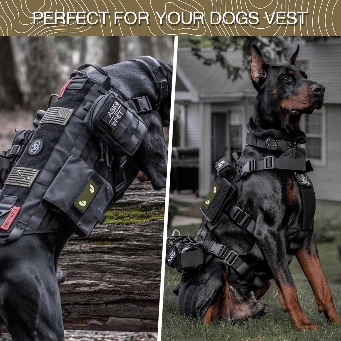 LINXGR Cat Eyes Patches Tactical Morale Patches Hook & Loop Fasten Tactical Emblem for Vests Backpacks Hats Laser-cut Outdoor Badge Glow-in-the-Dark Accessories (Black)